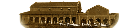 The Ambala Dairy